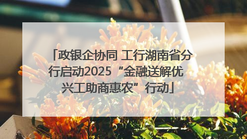 政银企协同 工行湖南省分行启动2025“金融送解优 兴工助商惠农”行动