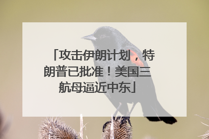 攻击伊朗计划，特朗普已批准！美国三航母逼近中东