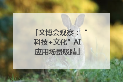 文博会观察：“科技+文化”AI应用场景吸睛