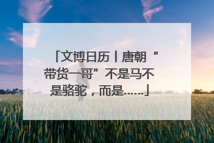文博日历丨唐朝“带货一哥”不是马不是骆驼，而是……