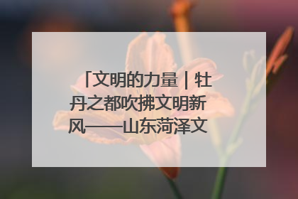 文明的力量｜牡丹之都吹拂文明新风——山东菏泽文明创建一线见闻