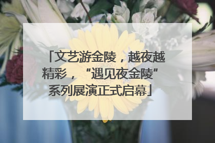 文艺游金陵，越夜越精彩，“遇见夜金陵”系列展演正式启幕