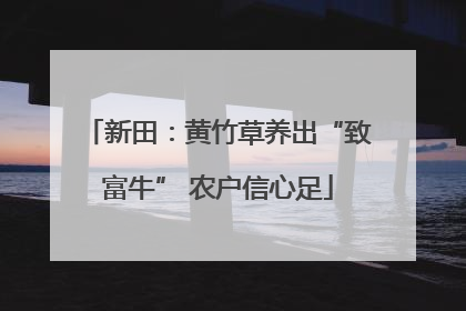 新田：黄竹草养出“致富牛” 农户信心足