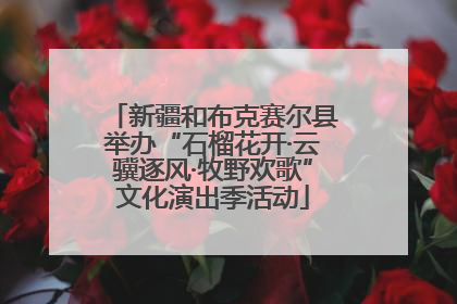 新疆和布克赛尔县举办“石榴花开·云骥逐风·牧野欢歌”文化演出季活动