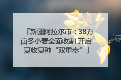 新疆阿拉尔市：38万亩冬小麦全面收割 开启夏收夏种“双重奏”