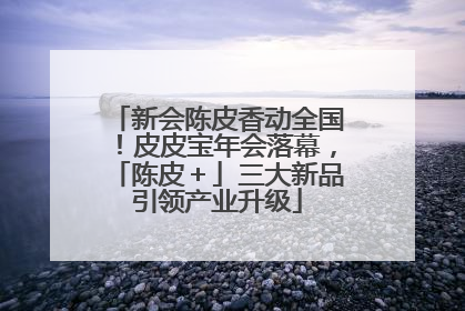新会陈皮香动全国！皮皮宝年会落幕，「陈皮＋」三大新品引领产业升级
