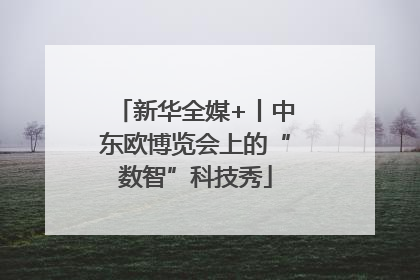 新华全媒+丨中东欧博览会上的“数智”科技秀