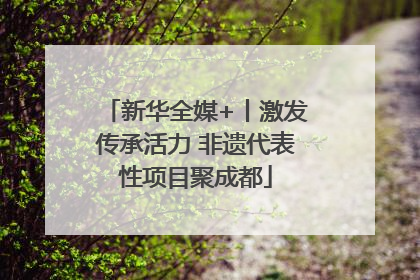 新华全媒+丨激发传承活力 非遗代表性项目聚成都