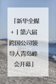 新华全媒+丨第六届跨国公司领导人青岛峰会开幕