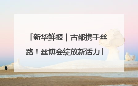 新华鲜报｜古都携手丝路！丝博会绽放新活力