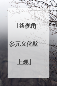 新视角 多元文化壁上观