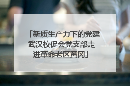新质生产力下的党建 武汉校促会党支部走进革命老区黄冈