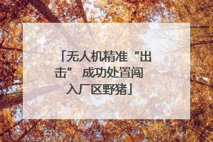 无人机精准“出击” 成功处置闯入厂区野猪