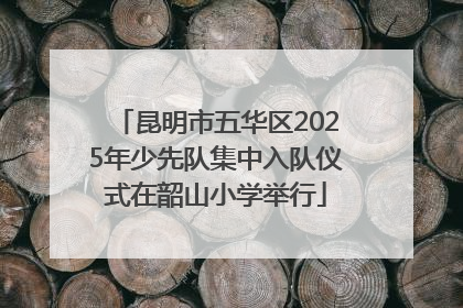 昆明市五华区2025年少先队集中入队仪式在韶山小学举行