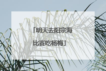 明天去阳宗海比赛吃杨梅