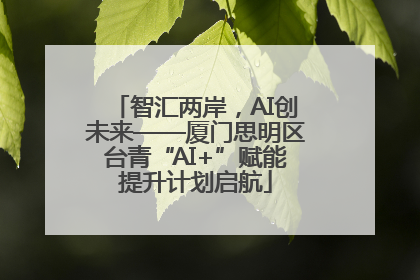 智汇两岸，AI创未来——厦门思明区台青“AI+”赋能提升计划启航