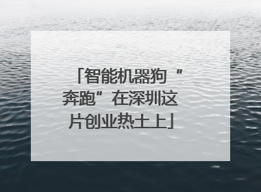 智能机器狗“奔跑”在深圳这片创业热土上