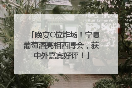 晚宴C位炸场！宁夏葡萄酒亮相西博会，获中外嘉宾好评！