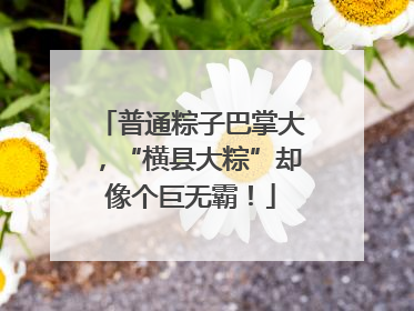 普通粽子巴掌大，“横县大粽”却像个巨无霸！