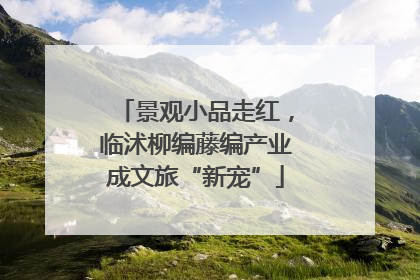 景观小品走红，临沭柳编藤编产业成文旅“新宠”