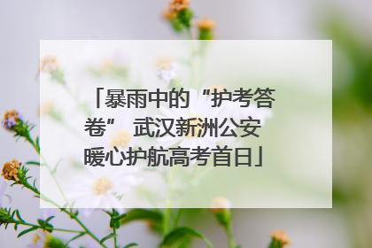 暴雨中的“护考答卷” 武汉新洲公安暖心护航高考首日