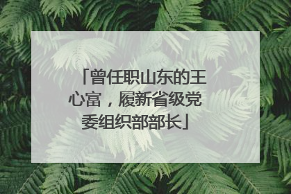 曾任职山东的王心富，履新省级党委组织部部长