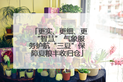 更实、更细、更“智慧” 气象服务护航“三夏”保障夏粮丰收归仓
