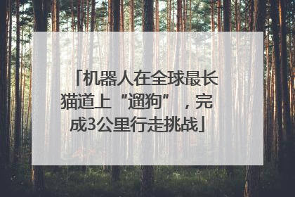 机器人在全球最长猫道上“遛狗”，完成3公里行走挑战