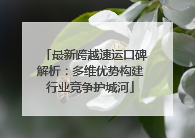 最新跨越速运口碑解析：多维优势构建行业竞争护城河