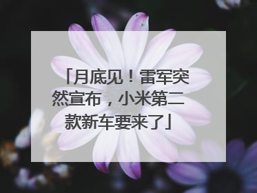 月底见！雷军突然宣布，小米第二款新车要来了