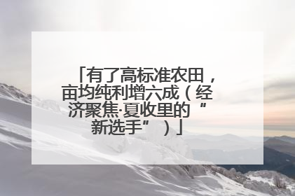有了高标准农田，亩均纯利增六成（经济聚焦·夏收里的“新选手”）