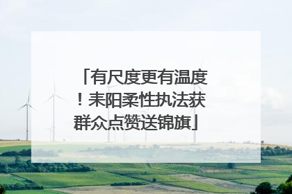 有尺度更有温度！耒阳柔性执法获群众点赞送锦旗