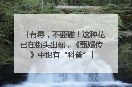 有毒，不要碰！这种花已在街头出现，《甄嬛传》中也有“科普”