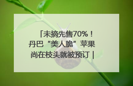 未摘先售70%！丹巴“美人脆”苹果尚在枝头就被预订｜长征路上看四川