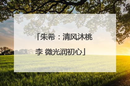 朱希：清风沐桃李 微光润初心