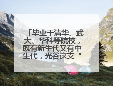 毕业于清华、武大、华科等院校，既有新生代又有中生代，光谷这支“理工男团”为何“出道”？