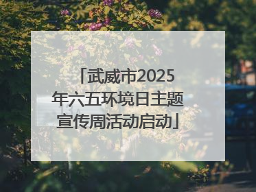武威市2025年六五环境日主题宣传周活动启动