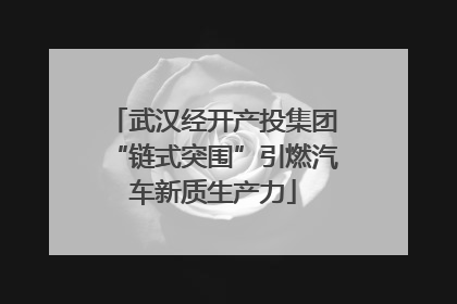 武汉经开产投集团“链式突围”引燃汽车新质生产力