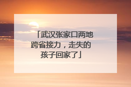 武汉张家口两地跨省接力，走失的孩子回家了