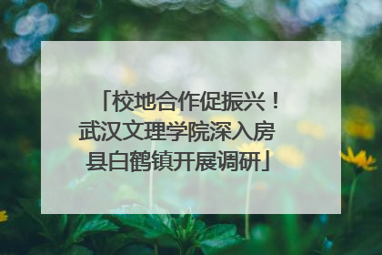 校地合作促振兴！武汉文理学院深入房县白鹤镇开展调研