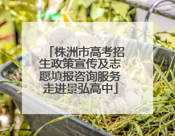 株洲市高考招生政策宣传及志愿填报咨询服务走进景弘高中