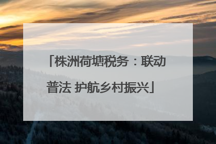 株洲荷塘税务：联动普法 护航乡村振兴