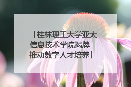 桂林理工大学亚太信息技术学院揭牌 推动数字人才培养