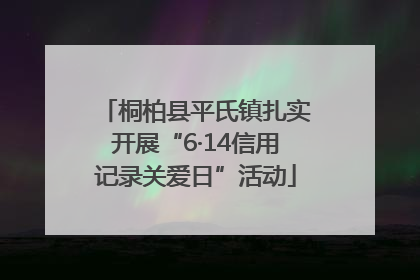 桐柏县平氏镇扎实开展“6·14信用记录关爱日”活动