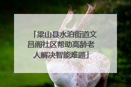 梁山县水泊街道文昌阁社区帮助高龄老人解决智能难题