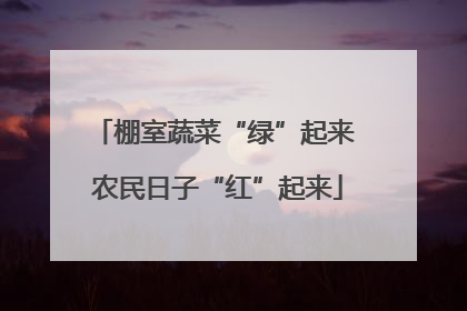 棚室蔬菜“绿”起来 农民日子“红”起来