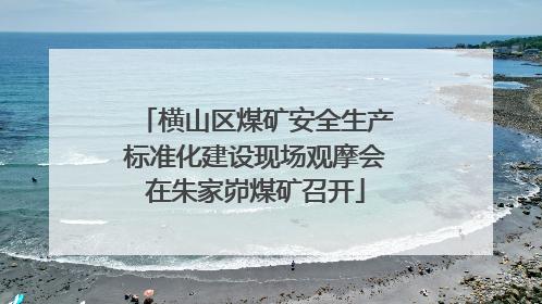 横山区煤矿安全生产标准化建设现场观摩会在朱家峁煤矿召开
