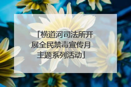 横道河司法所开展全民禁毒宣传月主题系列活动
