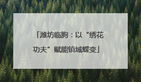 潍坊临朐：以“绣花功夫”赋能镇域蝶变