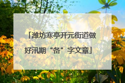 潍坊寒亭开元街道做好汛期“备”字文章